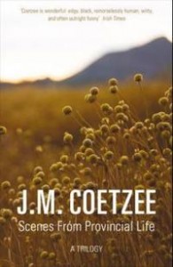 J.M. Coetzee: Scenes from Provincial Life