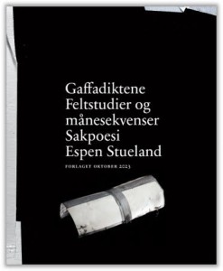 Espen Stueland: Gaffadiktene: Feltstudier og månesekvenser