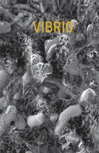 Glenn Christian: Vibrio