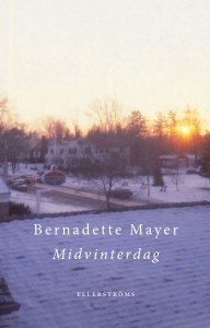 Bernadette Mayer: Midvinterdag