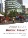 Tone Hansen (red.): What Does Public Mean? Art as a Participant in the Public Arena
