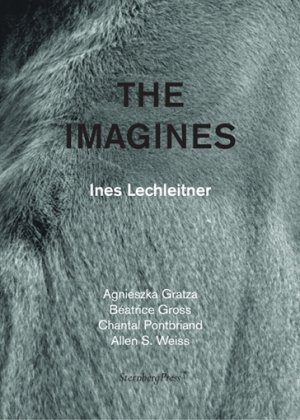 Ines Lechleitner: The Imagines