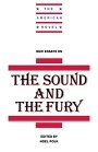 Noel Polk (red.): New Essays on The Sound and the Fury