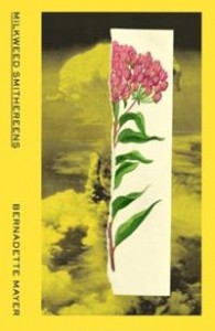 Bernadette Mayer: Milkweed Smithereens