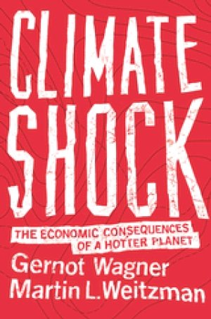 Gernot Wagner og Martin L. Weitzman: Climate Shock: The Economic Consequences of a Hotter Planet
