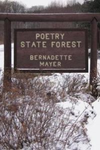 Bernadette Mayer: Poetry State Forest