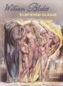 Omslag: Eldfängd glädje
