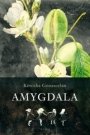 Omslag: Amygdala
