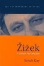 Omslag: Zizek: A Critical Introduction