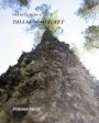 Omslag: Tallskogshäftet