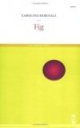Omslag: Fig