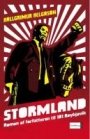 Omslag: Stormland
