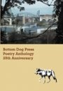 Omslag: Bottom Dog Press Poetry Anthology: 25th Anniversary