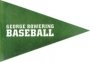 Omslag: Baseball: A Poem in the Magic Number 9