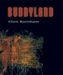 Omslag: Buddyland