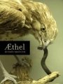 Omslag: Æthel