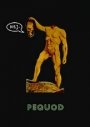 Omslag: Pequod 33/2003 – Nej