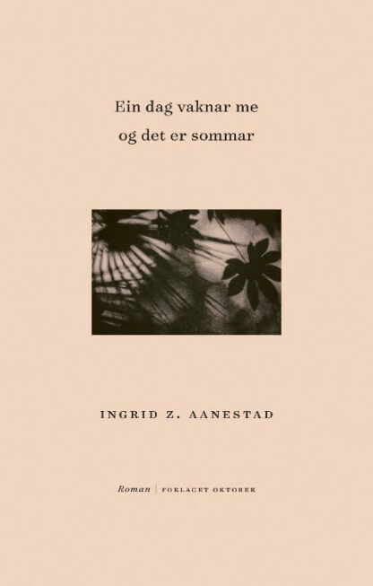 Omslag: Ein dag vaknar me og det er sommar