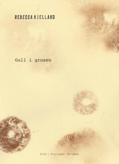 Omslag: Gull i grusen