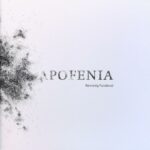 Omslag: Apofenia