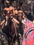 Omslag: The Stonewall Nation