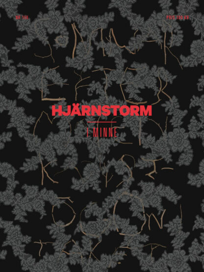 Omslag: Hjärnstorm 156: I minne
