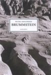 Omslag: Brummstein