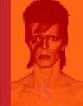 Omslag: David Bowie Is Inside