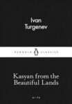 Omslag: Kasyan from the Beautiful Lands