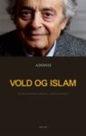Omslag: Vold og islam: samtaler med Houria Abdelouahed