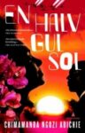 Omslag: En halv gul sol