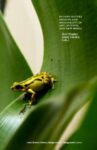 Omslag: Second Nature: Origins and Originality in Art, Science, and New Media