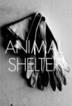 Omslag: Animal Shelter Issue 2: Art, Sex, Literature