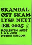 Skandaløst skamlyse netter (grønn): SKAMLYSE NETTER 25: Plakat (riso)